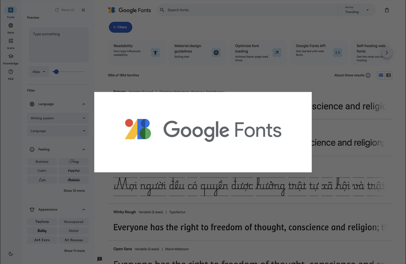 google-fonts