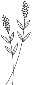 flower2
